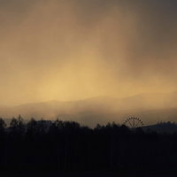 霧に霞む森と遠景の観覧車のシルエットの写真