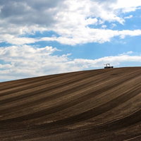 緑と茶色のパッチワーク畑に耕耘機が走る美瑛の丘の風景の写真
