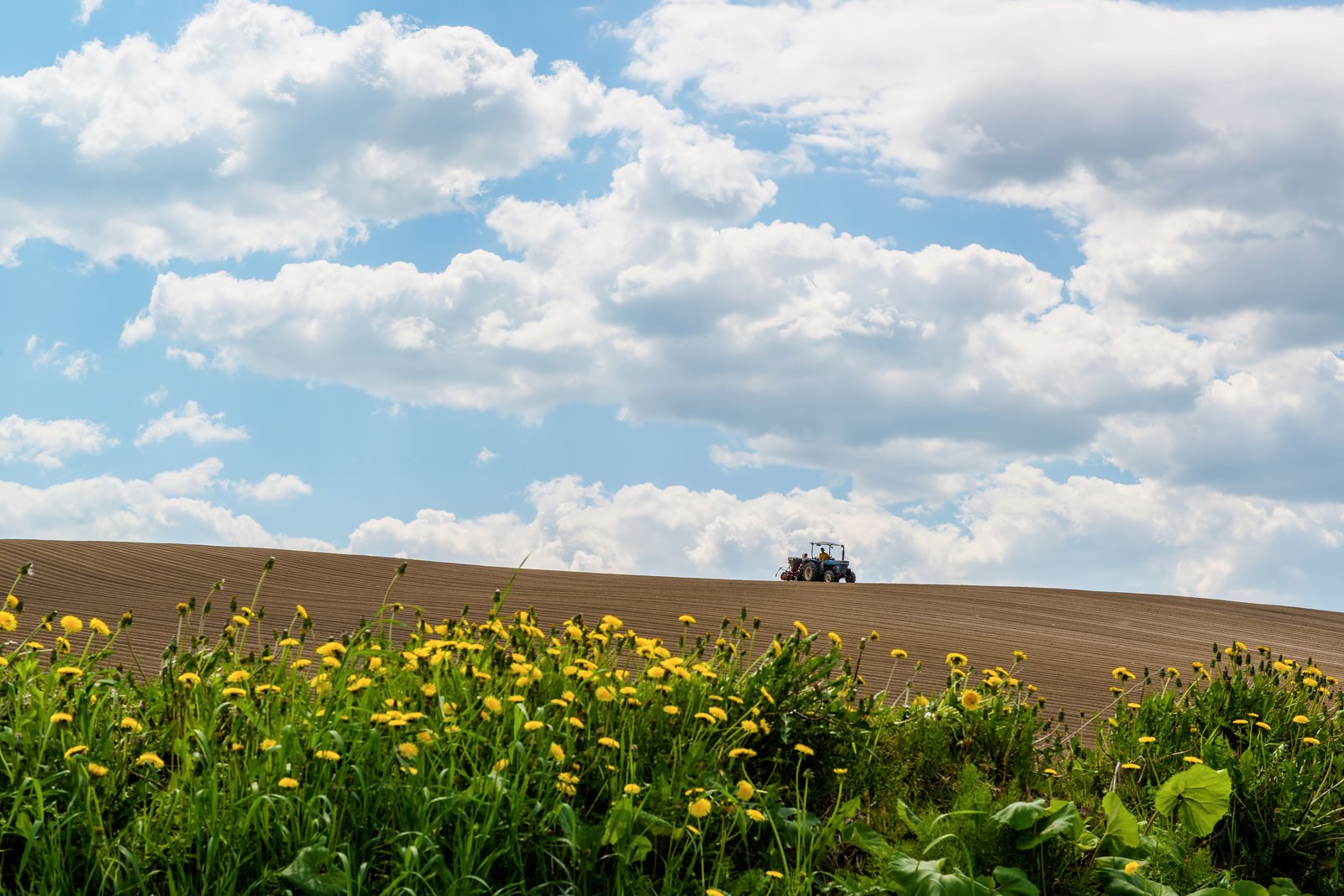 耕されたばかりの美瑛の畑と青空
