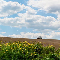 耕されたばかりの畑と青空が広がる美瑛の丘の農業風景の写真