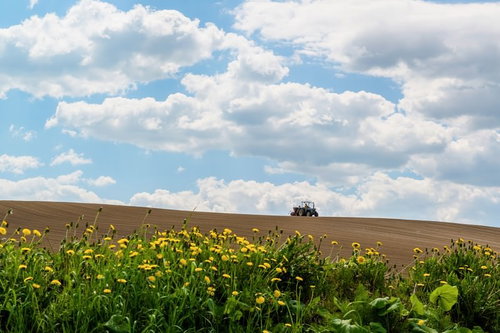 耕されたばかりの畑と青空が広がる美瑛の丘の農業風景