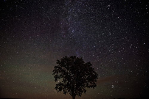 美瑛の一本木と満天の星空