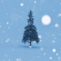 雪降るクリスマスツリーの写真