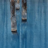 雨が降る北海道美瑛町白金の青い池の桟橋と水面の写真