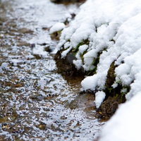 積もった白い雪の間を流れる雪解けの小川の写真