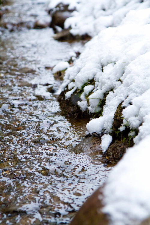 積もった白い雪の間を流れる雪解けの小川