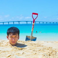 「私を見たことは秘密だ。喋るな危険」とギャグをかます人柱の写真