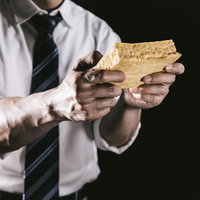 持ち運びができる携帯ゲーム機かと思ったら厚揚げだったの写真