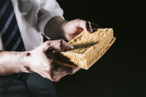 春の野原に群れ咲く白い小花