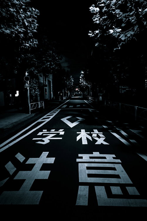 夜間の学校通学路に設置されたスクールゾーン注意標識