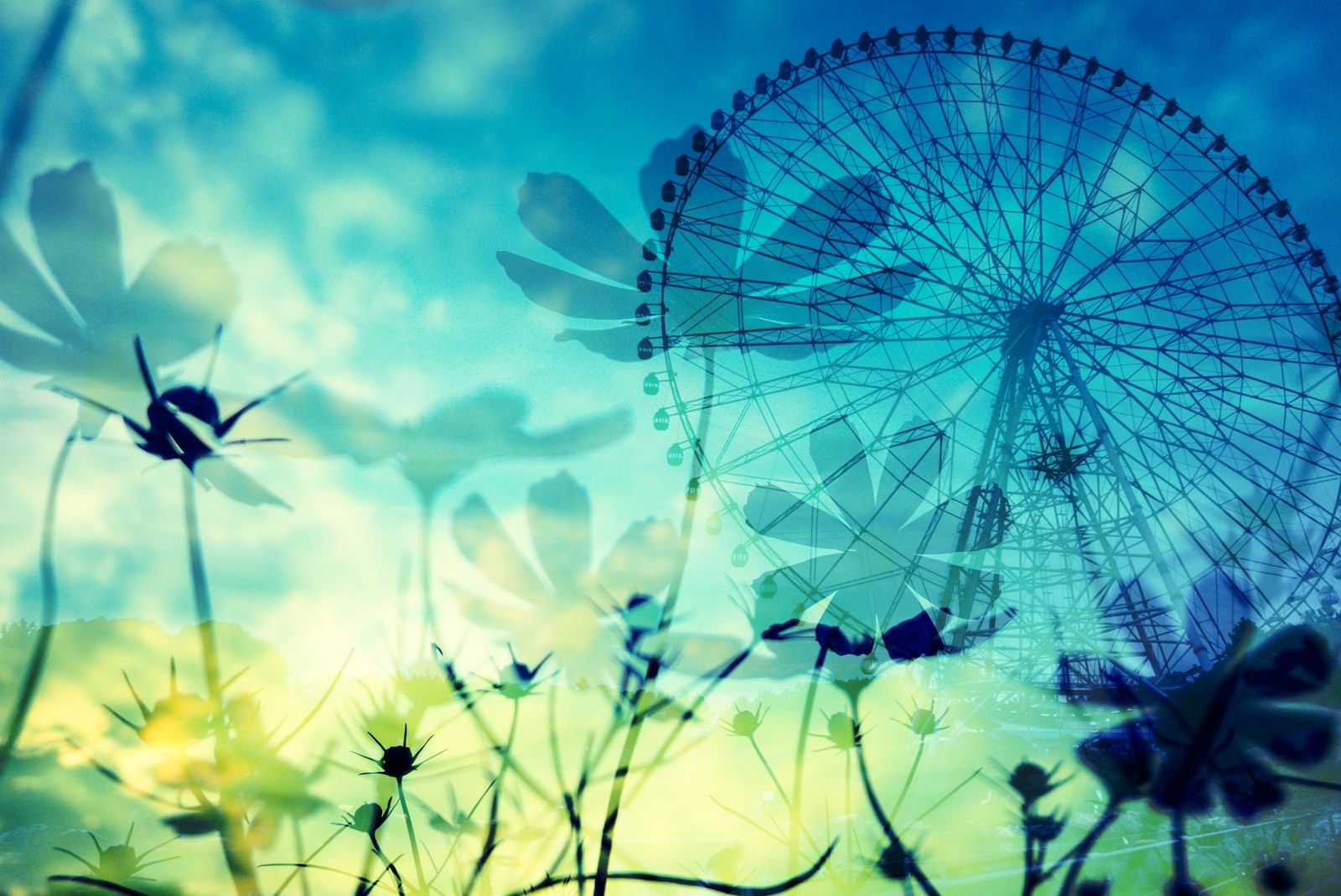 青い空にコスモスのシルエットと観覧車が重なるフォトモンタージュ