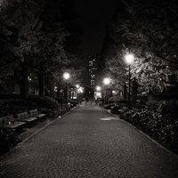 街灯のあかりが照らす夜の歩道と樹木に囲まれた夜間風景の写真