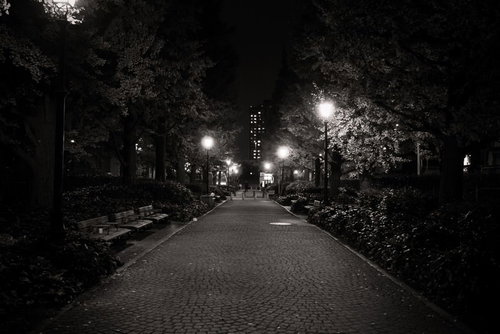 街灯のあかりが照らす夜の歩道と樹木に囲まれた夜間風景