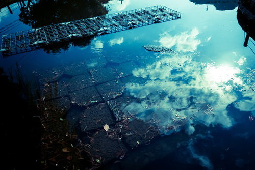 振袖で両手を合わせて笑顔の女性