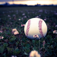 夕焼けの河川敷に転がる野球のボールの写真