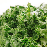 みずみずしいリーフレタスの葉 新鮮な葉物野菜の写真