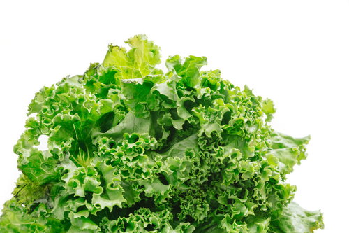 新鮮なサニーレタスの葉 - 白い背景の葉物野菜