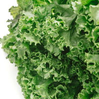 福岡県大刀洗産の採れたばかりのリーフレタスの葉物野菜の写真