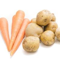 大刀洗で採れたにんじんとじゃがいもの根菜の写真