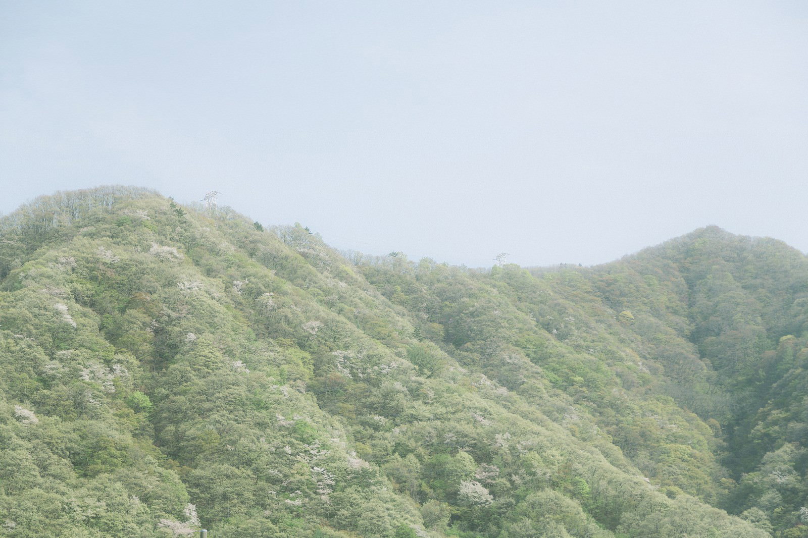 霧が立ち込める春の山々を遠景から撮影した風景写真