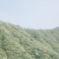 霧に包まれた春の山々を望む新緑の斜面の写真