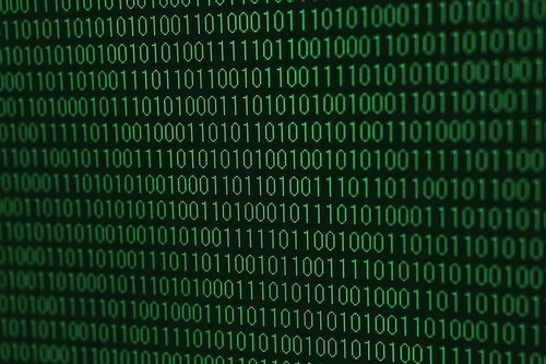 画面を埋め尽くす緑の2進数