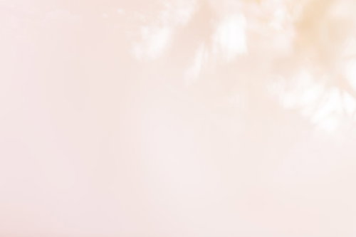 春の息吹、ボケの柔らかな花、淡いピンク色に染まる枝全体