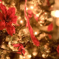 クリスマスのふんわりボケ光の背景の写真