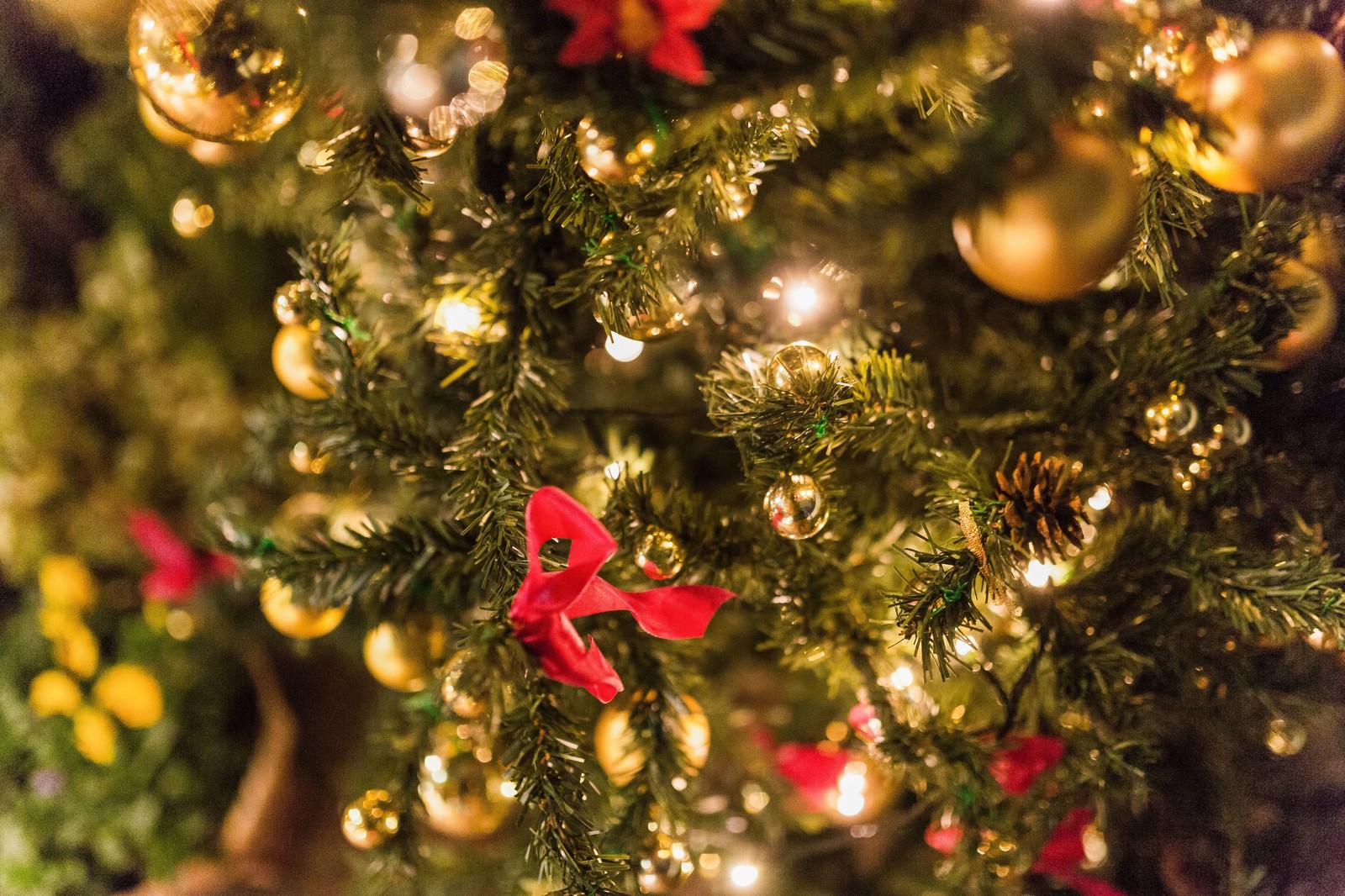 ゴールドのオーナメントと赤いリボンで飾られたクリスマスツリー