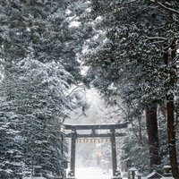 冬の鹽竈神社・雪に覆われた参道の写真
