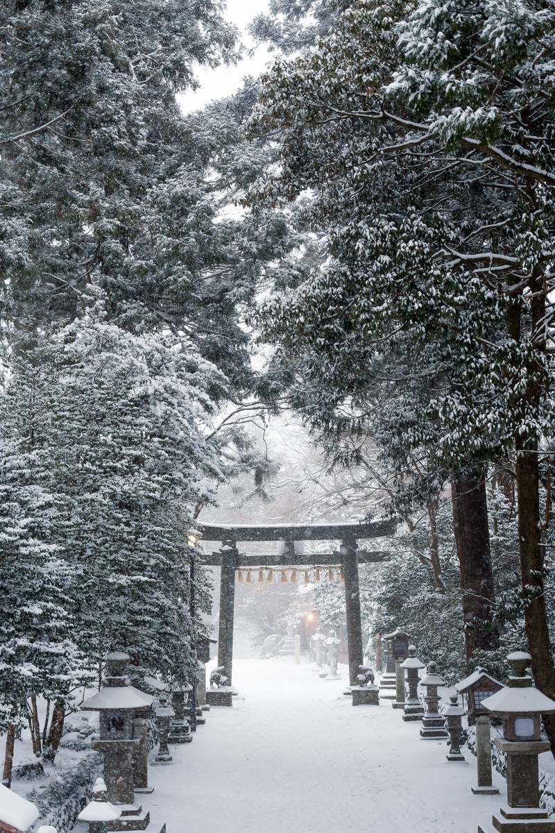 雪に覆われた神社の参道と鳥居