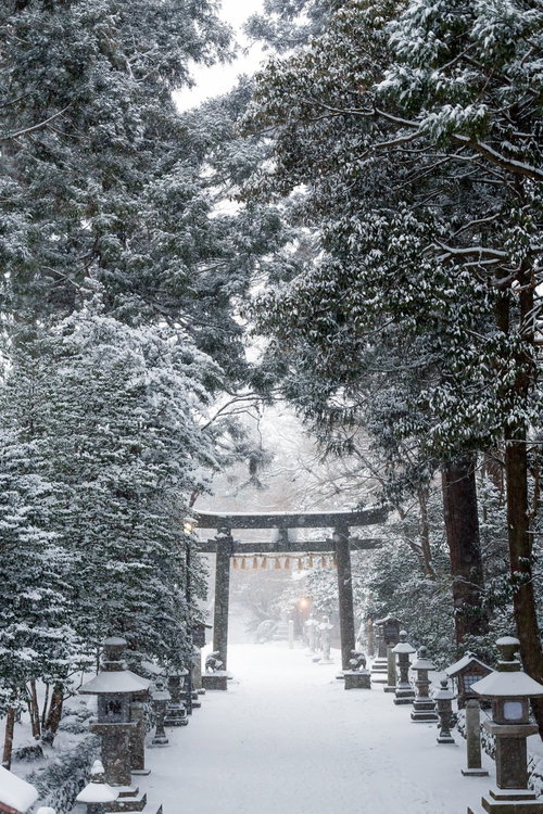 冬の鹽竈神社・雪に覆われた参道