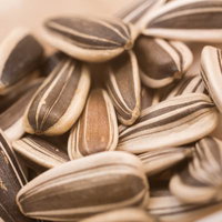 ひまわりの種（殻付き）盛りのアップの写真