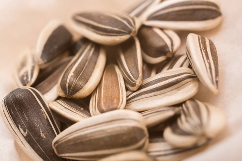 黒と白のストライプ模様のひまわりの種