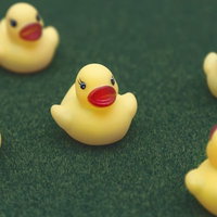 暗い話題をもちかけるあひるちゃんの写真