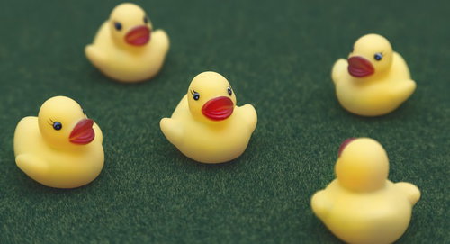 暗い話題をもちかけるあひるちゃん