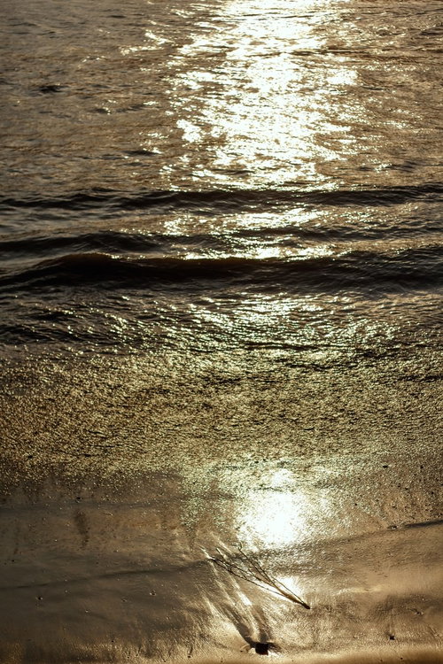 波の表面に光が反射する夕暮れの海