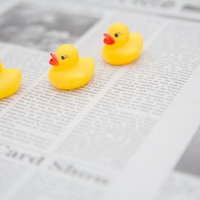 英字新聞の上に一列に並ぶあひるちゃんの写真