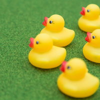 人工芝の上で陣形を組むあひるちゃんの写真