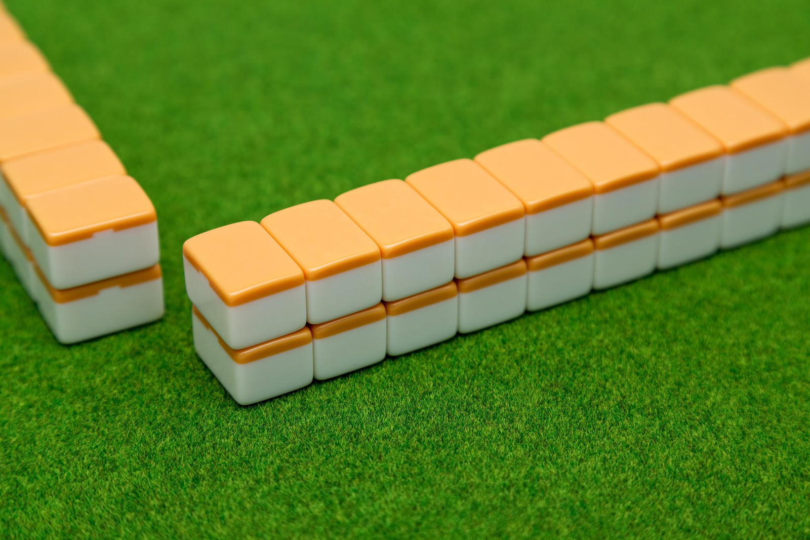 緑のマットに2列に並んだ麻雀牌