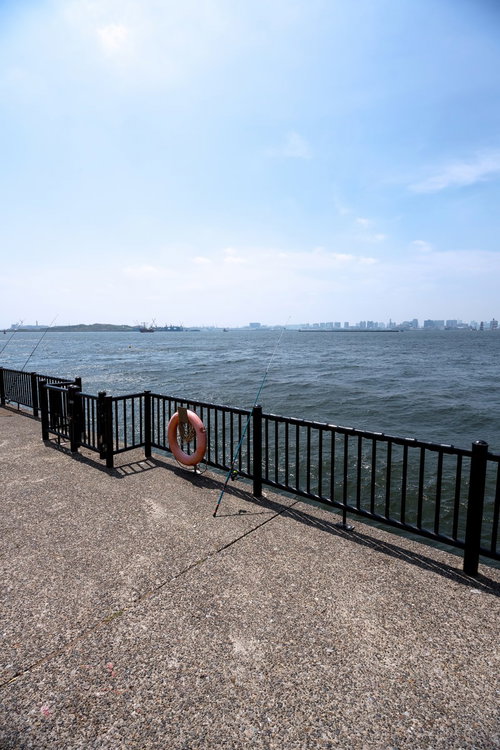 埠頭の柵に立てかけられた釣竿と浮き輪