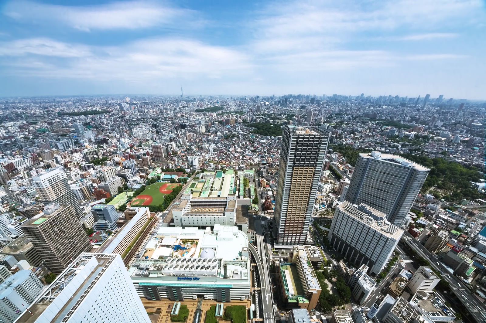 サンシャイン60からスカイツリーと新宿