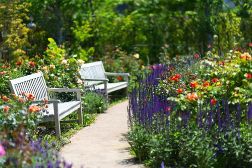 緑の木々と芝生に囲まれた静かな公園の木製ベンチ