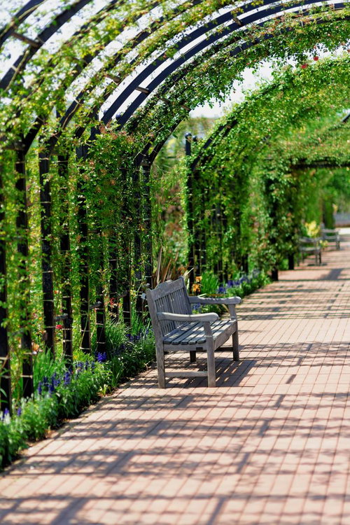 植物園のアーチとレンガ通路のベンチ