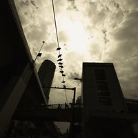 高架歩道橋とビルを見上げた都市風景の写真
