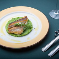 ブロッコリーソースの上に盛り付けられた真鯛のローストの写真