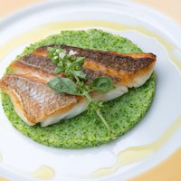 緑のソースに載せた真鯛のロースト2枚と葉飾りの写真