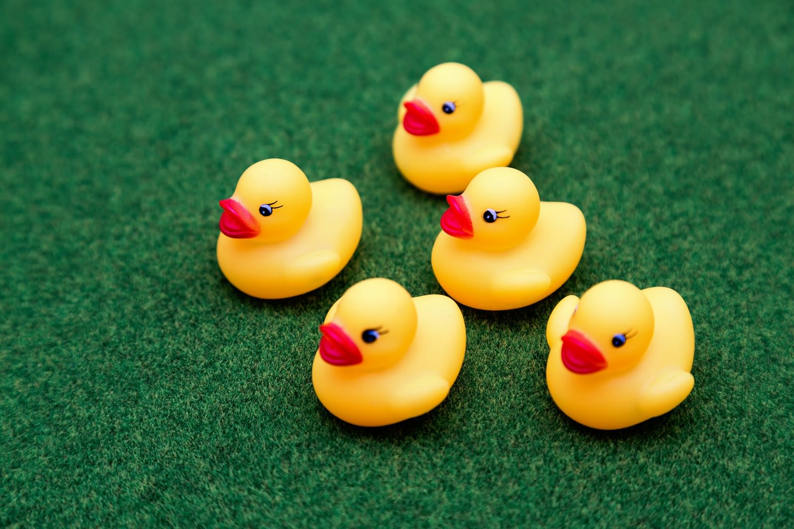 緑のマット上に5体の黄色いゴム製あひるが異なる方向を向いて配置されている