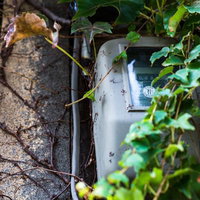 蔦や緑の葉が絡まる錆びた灰色の電気メーターが付いた石の壁の写真