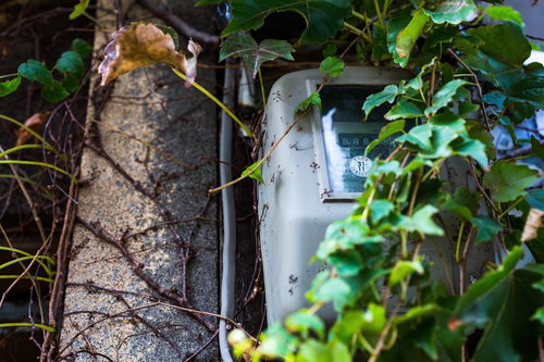 蔦や緑の葉が絡まる錆びた灰色の電気メーターが付いた石の壁